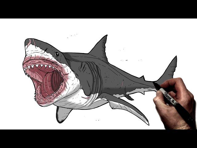 How To Draw Megalodon | Step By Step | Jurassic World