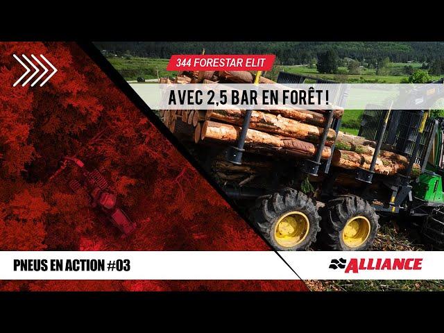 Alliance Pneus Forestiers : Avec 2,5 Bar en Forêt ! 