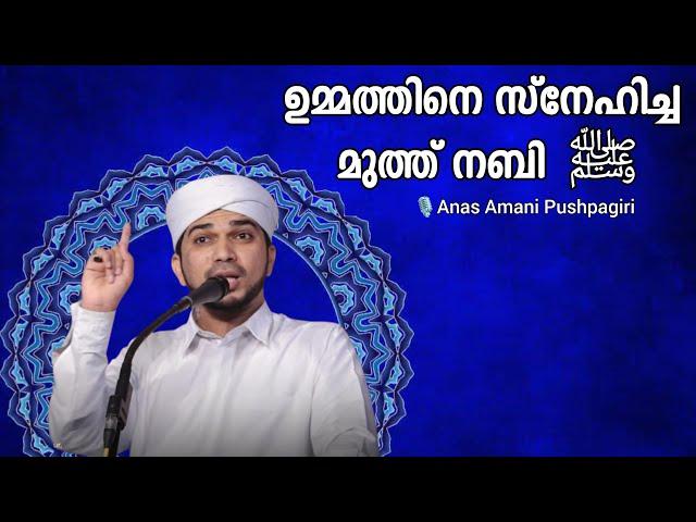 Anas Amani Pushpagiri #speech മുത്ത് നബിയുടെ സ്നേഹം | അനസ് അമാനി പുഷ്പഗിരി | Islamic Speech