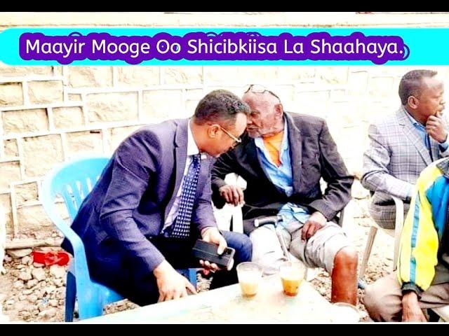 Maayor Abdikarim Ahmed Mooge Oo La Shaahay Shacabkiisa..