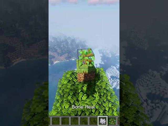 The longest Tree in#minecraftshorts