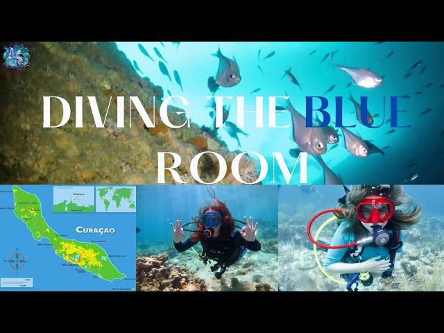 Curaçao's Top Family Dive sites - Blue Room/Mushroom Forest/WaterMula/Tugboat