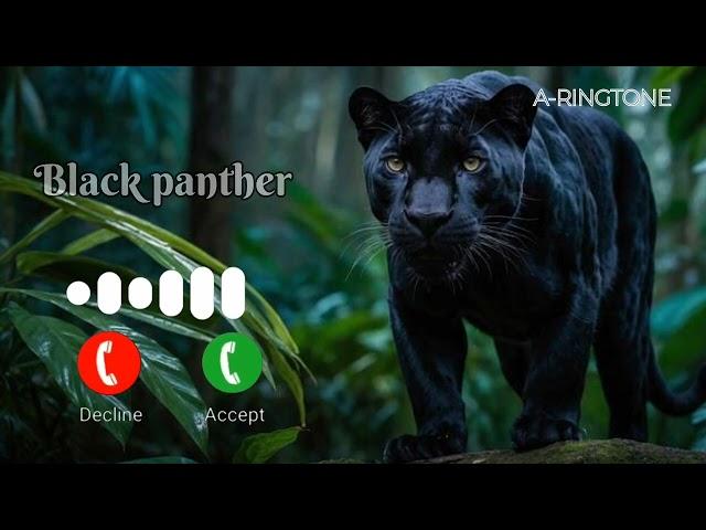 BEST Black Panther RINGTONE EVER? #blackpanther #ringtone #keepsupporting #agiri