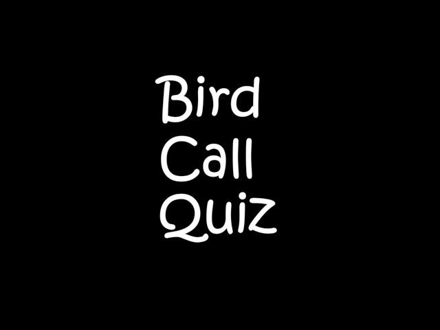 Bird Call Quiz! (Eastern US)