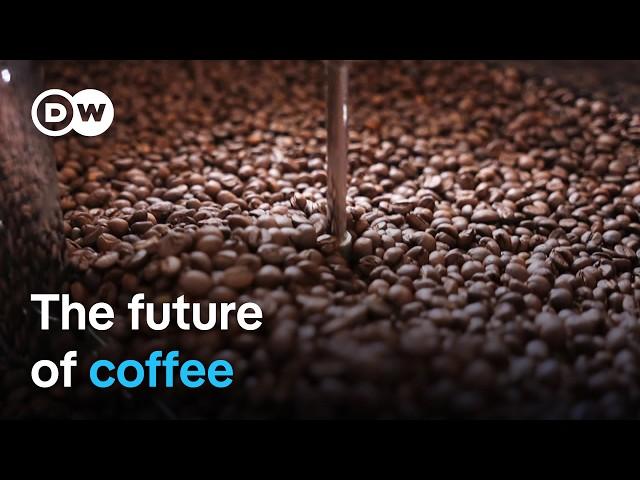 How climate change threatens coffee production | DW Documentary