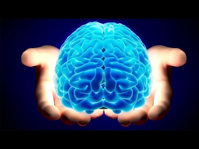 The Most Amazing Facts About The Human Brain