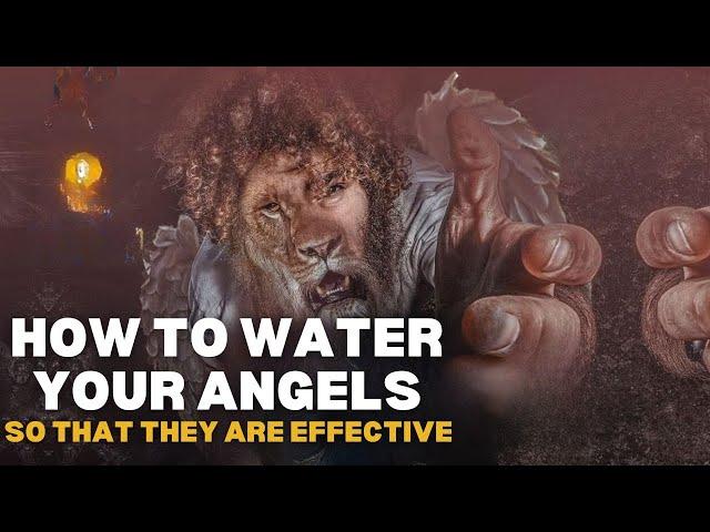 HOW TO WATER YOUR ANGELS SO THEY ARE EFFECTIVE // UNVEILED // PROPHET MALLUC M. ELIAS