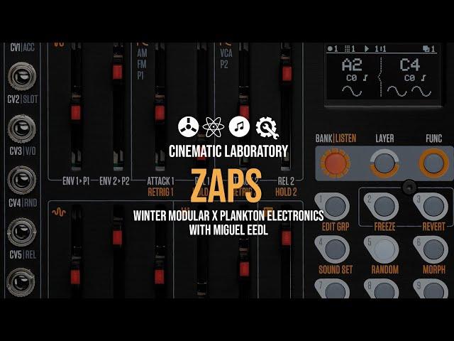 ZAPS |  Complex analog linear drum machine | First Encounter