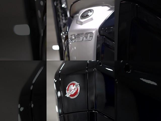 Yamaha or Mercury? 