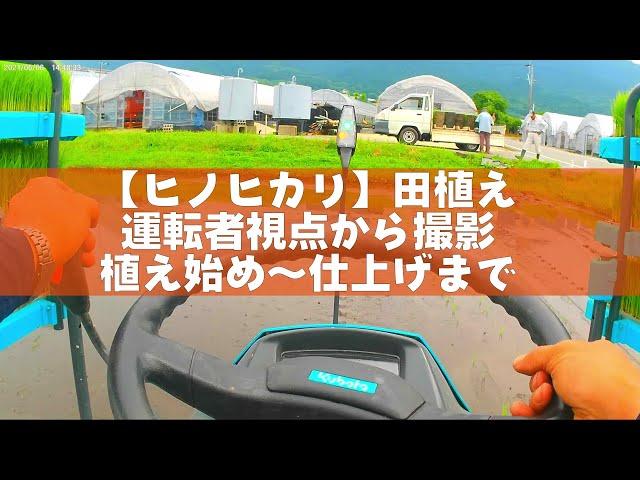 【お米作り】田植えヒノヒカリ　クボタ　ｚｐ５５　胸位置固定チャイナカメラ