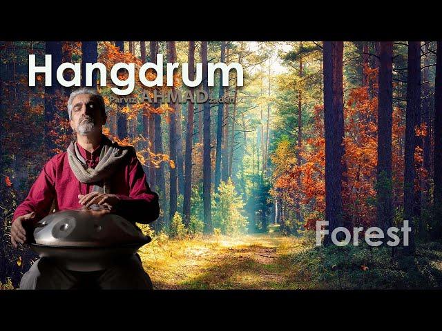 hangdrum ahmadzadeh  forest 2023 original music