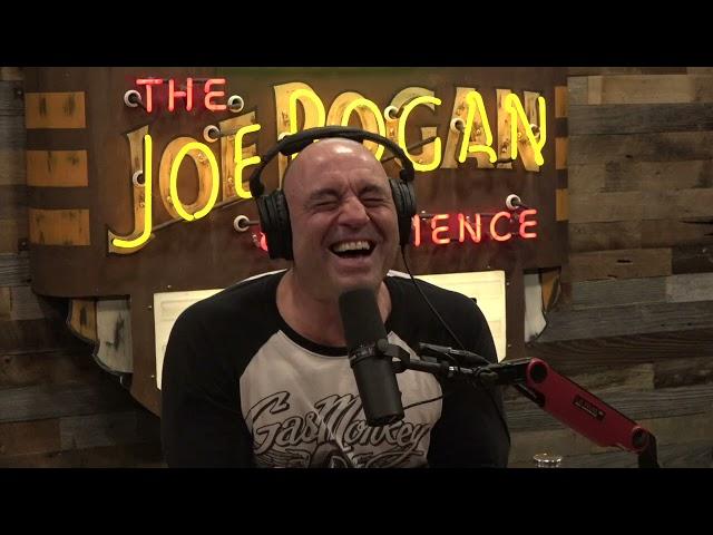 Joe Rogan Experience #1724 - Jewel