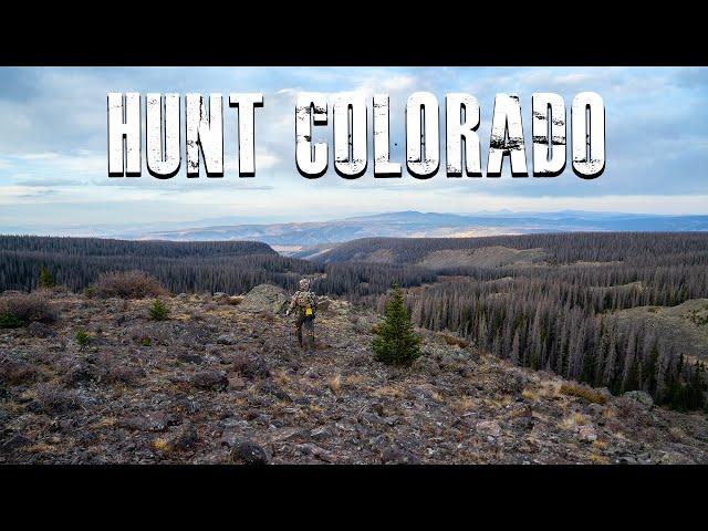 How To Hunt Colorado | APPLICATION SEASON