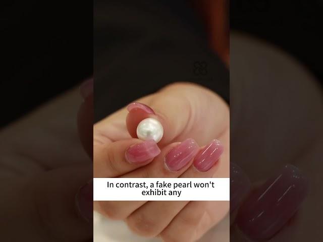 Three Techniques to Distinguish Genuine and Fake Pearls #jewelry #jewelryfactory #jewellery