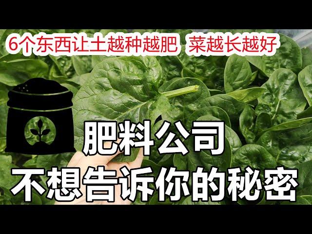 6 Things Fertilizer Companies Don't Want You to Know㊙️6种免费资源让菜园土越种越肥, 菜越长越好, 肥料公司不想告诉你的秘密