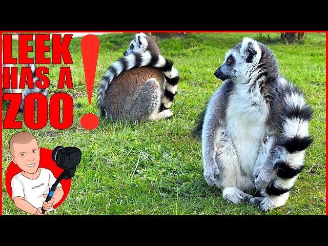 Peak Wildlife Park | Leek Zoo