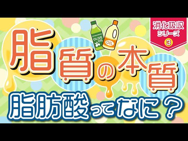 必見 【脂質】の本質 ～脂肪酸ってなに？～　消化吸収シリーズ③