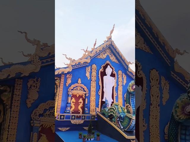 Blue temple thailand at Kolkata /Durga Puja Pandal/#durgapuja #shorts