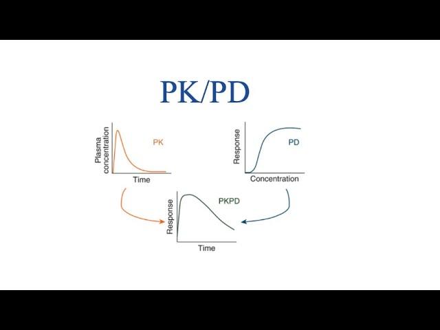 Overview of PK-PD relationship / Drug Dynamic