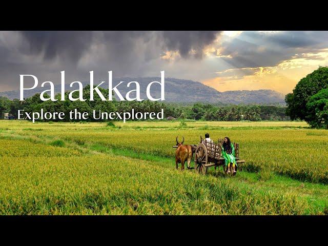 5 Must-Visit Places in Palakkad | Kerala Tourism  #DreamDestinations