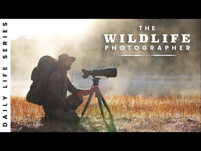 Amazing Bird Photography in the footsteps of BBC and Nat Geo - 2 weeks in Norway