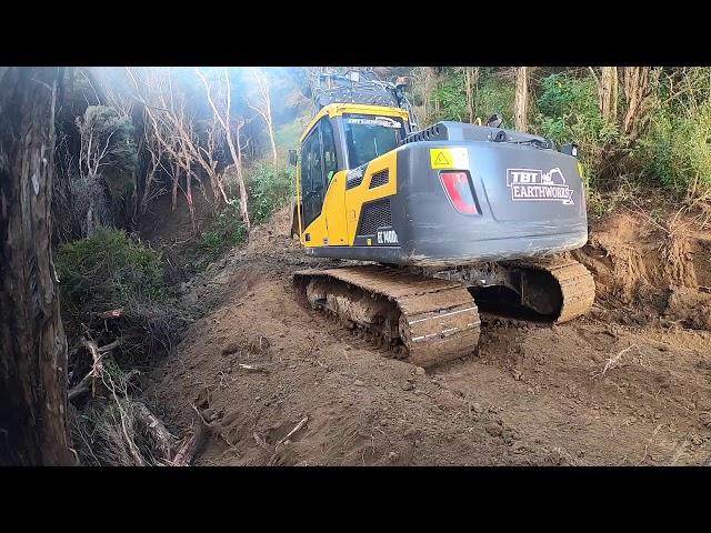 Cutting Track Into Thick New Zealand Bush - Part 1