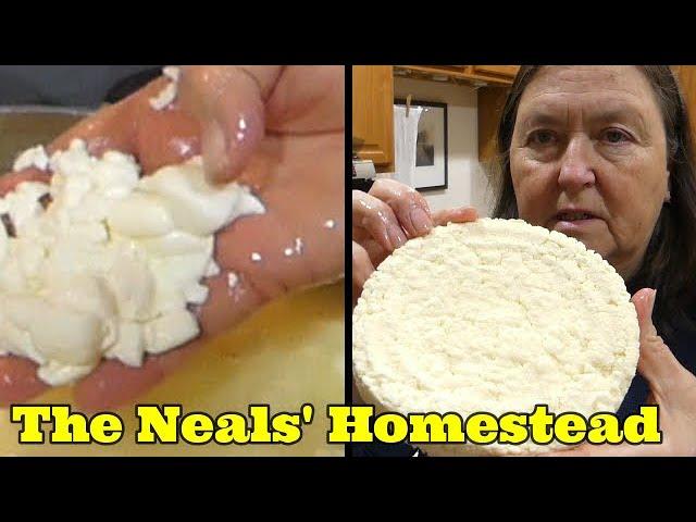 Making Simple Raw Milk Cheese Using a Dehydrator