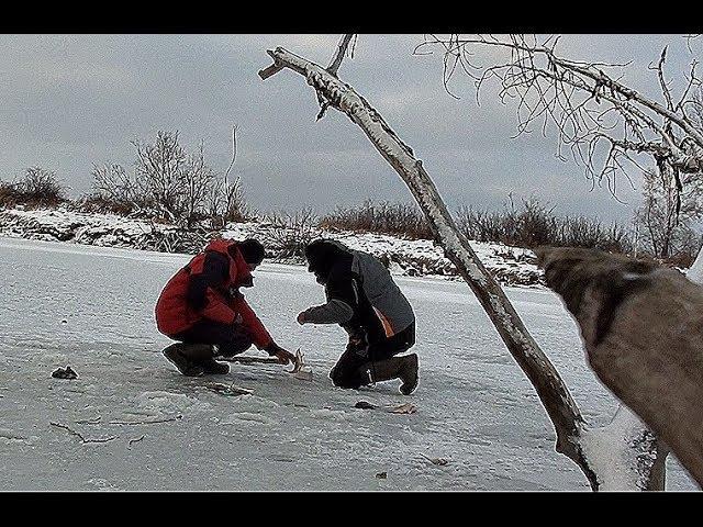 В ЭТИХ ДРОВАХ ПОЛНО КАРАСЯ!!!!! ВОТ ЭТО ПЕРВОЛЕДЬЕ!!! Балансир и мормышка по первому льду!