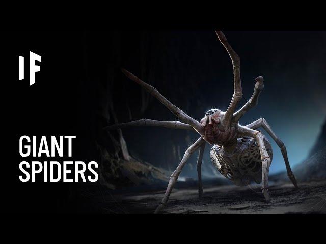 What If Spiders Were the Size of Humans?