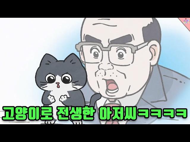 아재가 고양이로 전생하면 일어나는 일 ㅋㅋㅋㅋㅋㅋ