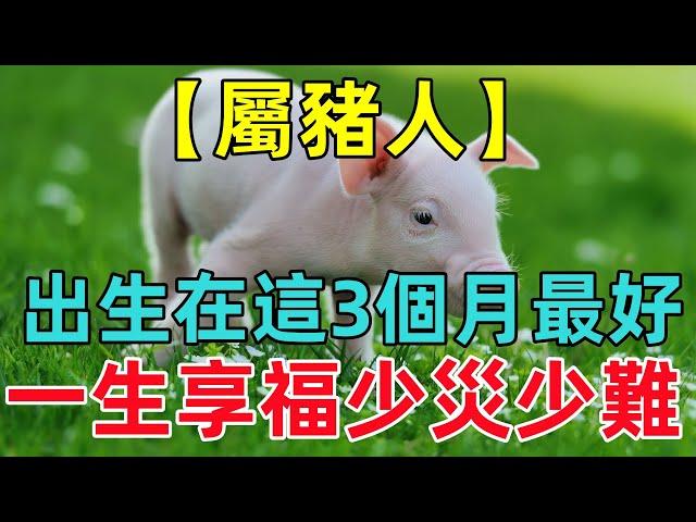 【屬豬人】出生在這3個月最好，一生少災少難，享受無盡的榮華富貴！