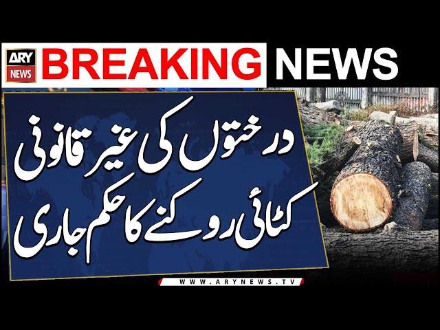 PHC stops illegal felling of trees in Chitral and Dir