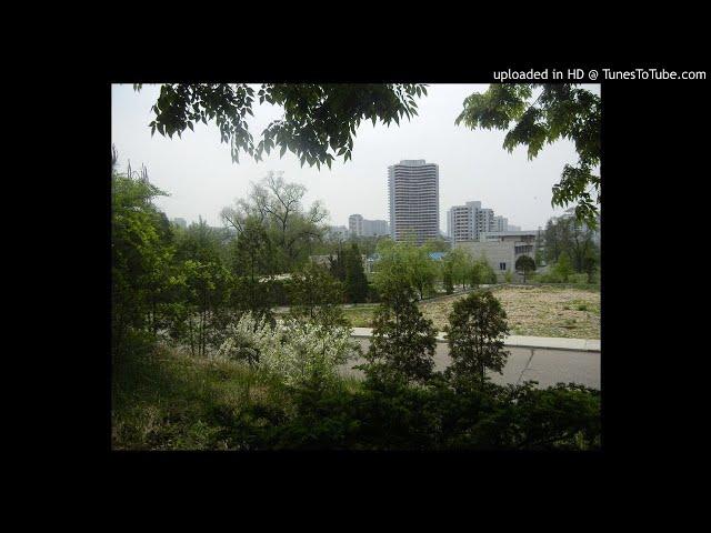 PEE-Music 내 고향의 숲 Forest in My Hometown