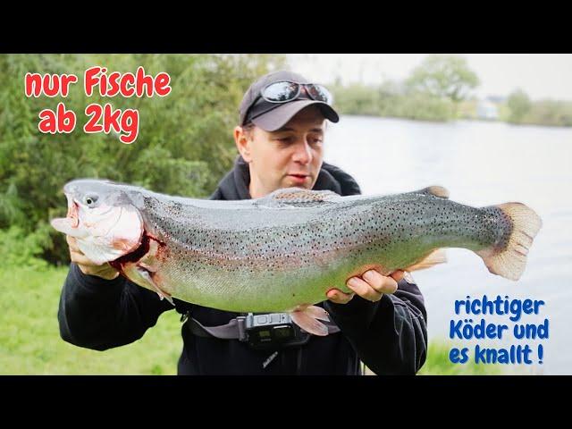 It's banging! Trout fishing with rubber bait Salmon trout fishing rubber bait at the trout lake U...