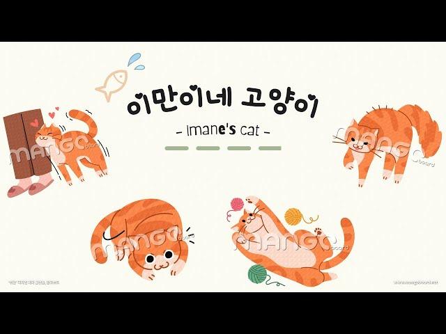 이만이네 고양이  ( imane's Cat silya )