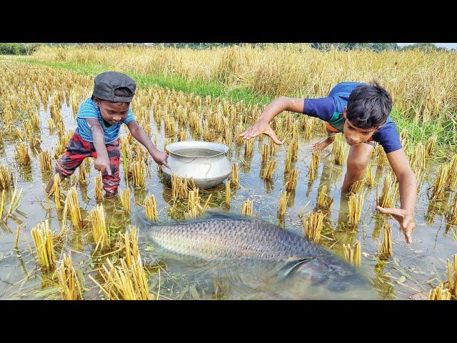 Amazing hand fishing videos | village smart boys catching fish by hand in rain water #best_fishing