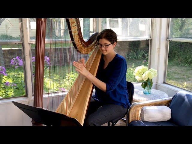 Beautiful Things, by Gungor (Harp Cover) - Stephanie Claussen