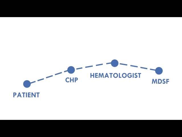 MDS Foundation - Connect The Dots