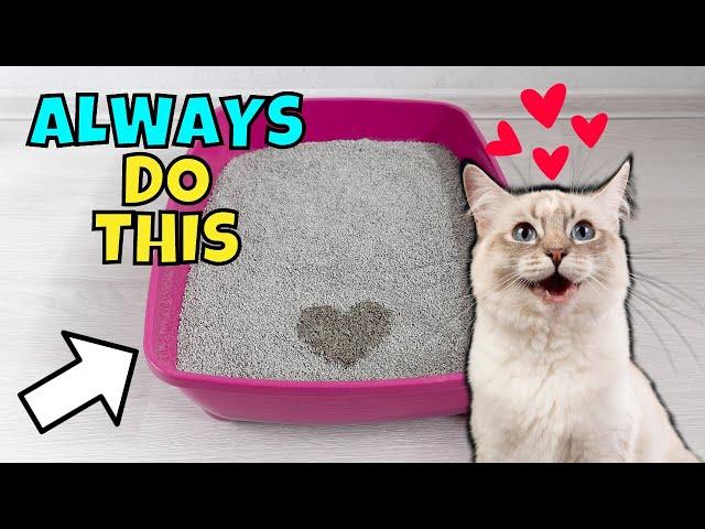 11 Things You Should ALWAYS Do For Your Cat ️