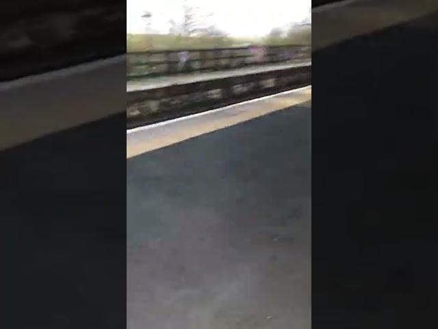 Bella Ruby and Storm at Kirkby Stephen Train Station