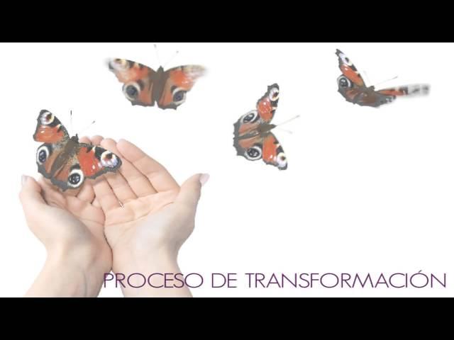 TRANSFORM ACCIÓN