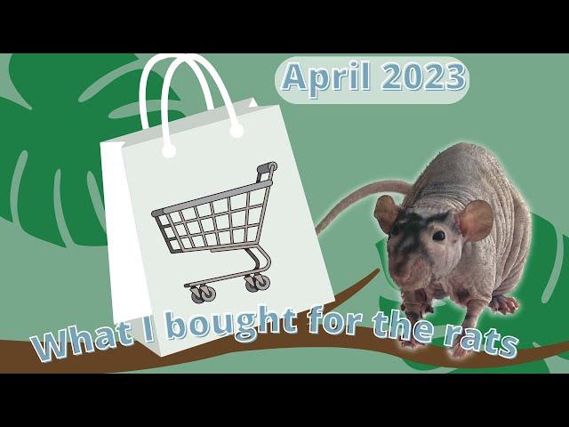 What I bought for the rats| April '23| Haul Video