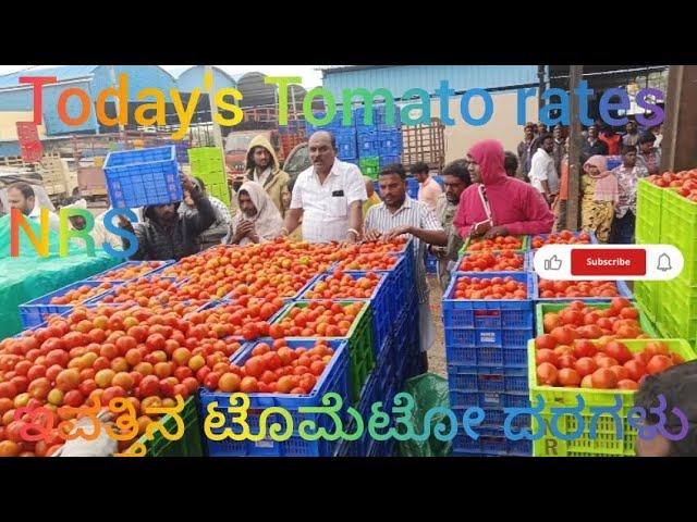 June 19, 2025 today's Tomato rates at NRS Mandi, Vaddahalli Market, Mulbagal, india