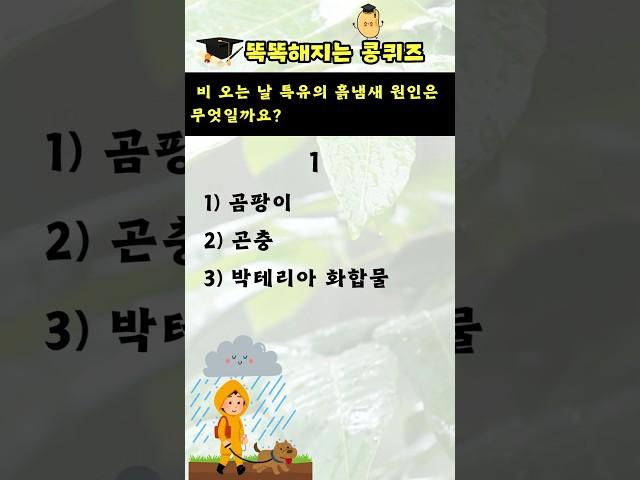 [상식퀴즈 - 149] 똑똑해지는 지식퀴즈, 상식 키우기, 일반상식퀴즈