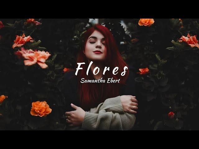 Samantha Ebert - Flowers (tradução)