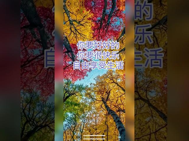 你要好好的，你要很快乐，自由享受生活。 #人生感悟 #治愈音樂 #正能量 #治愈#音乐分享 #情感 #分享