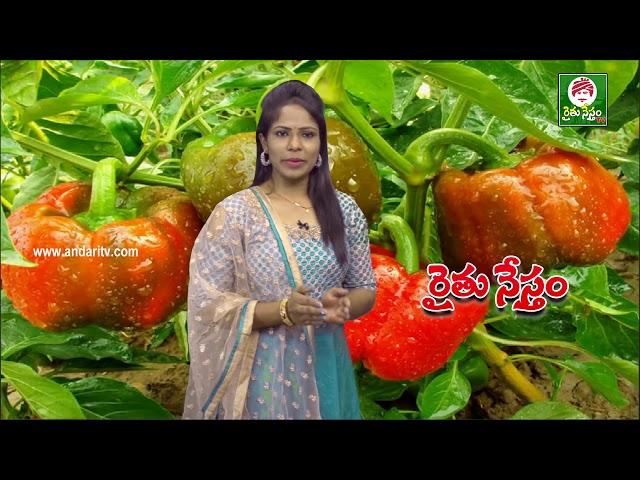 Rythunestham Tv | Special Promo  | By Andari Tv