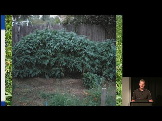 Mike Nelson - CBD and Cannabinoids: Beneficial Plant compounds or all hype? - AHS19