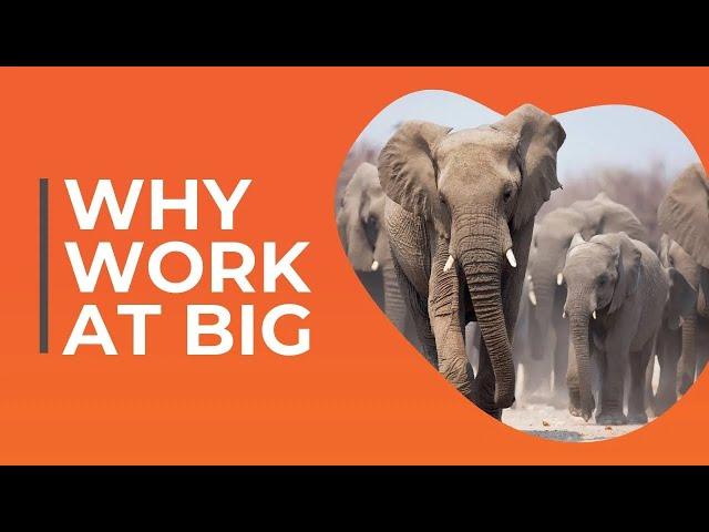 Why You Should Work at BIG | The Best Place to Work in Insurance Canada