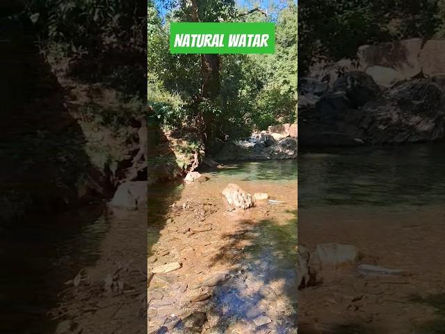 Natural beauty ️  water#shorts#video #food #nature